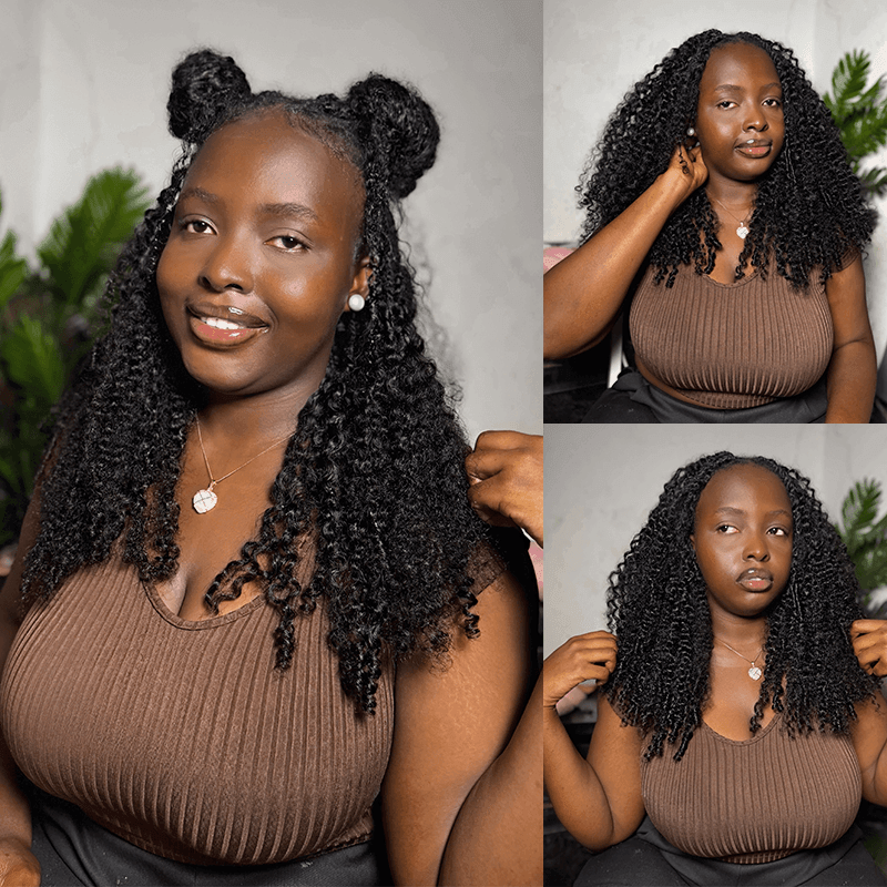 Burmese Curly 